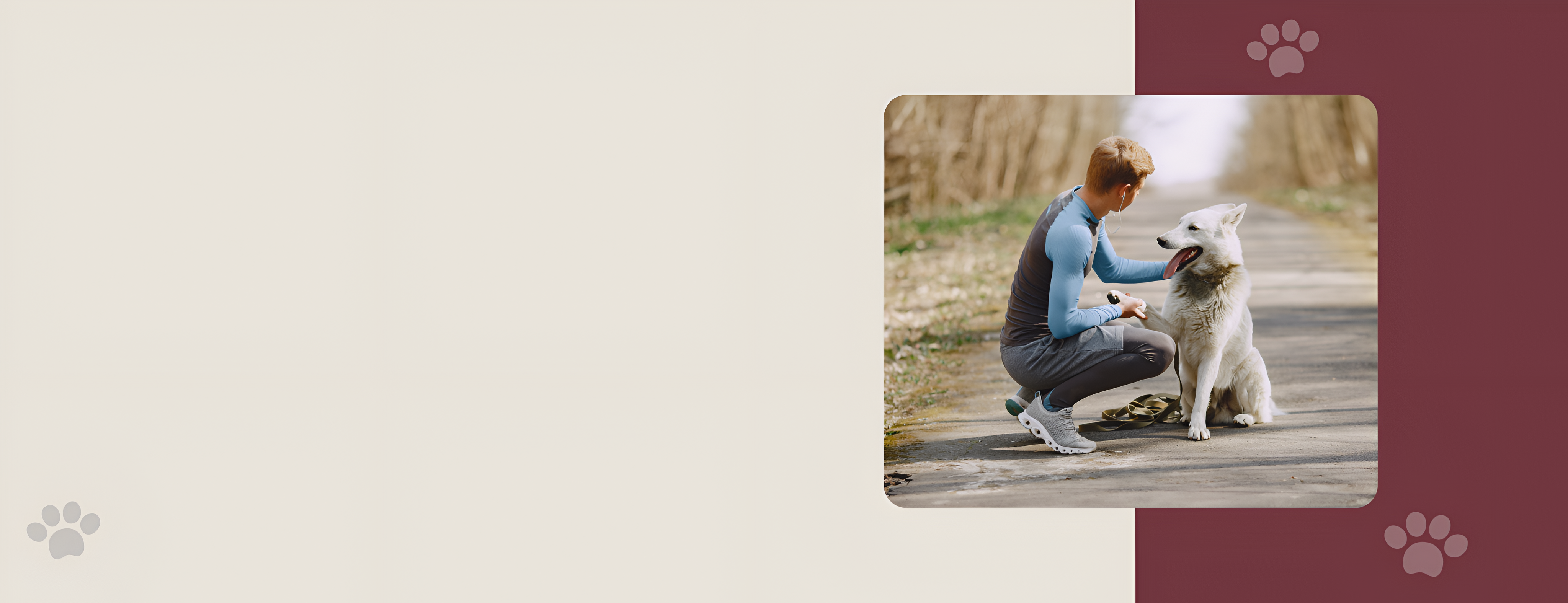 Smart Solutions for Your Furry Friend