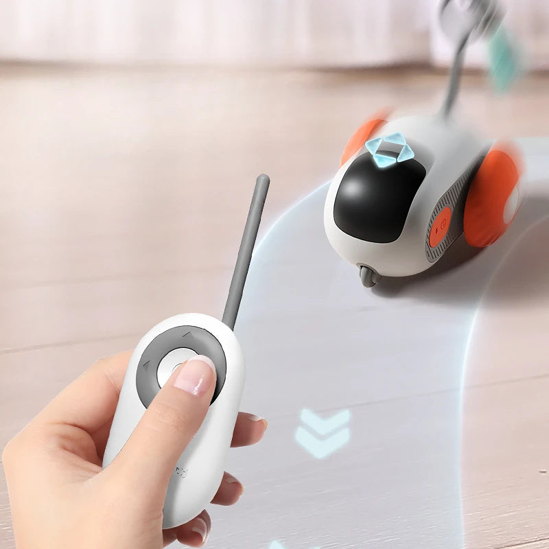 Interactive USB Remote Cat Toy