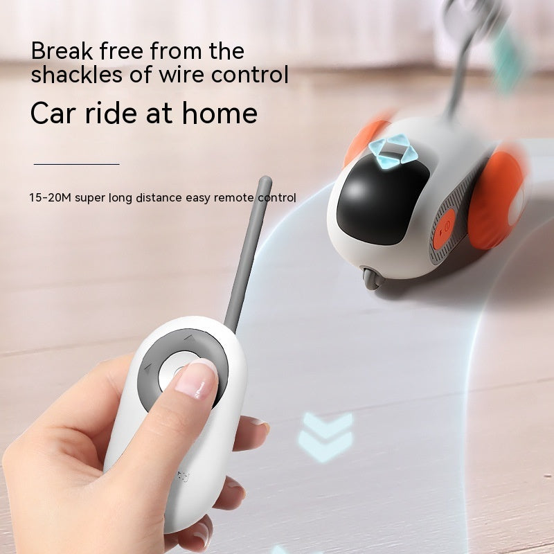 Interactive USB Remote Cat Toy